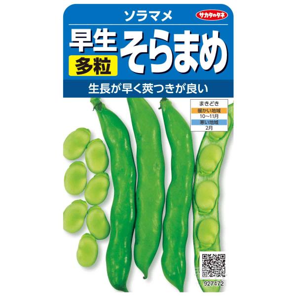 ソラマメ 種 『早生多粒そらまめ』  サカタのタネ/小袋