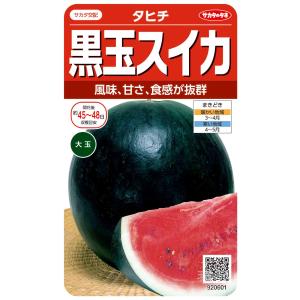 スイカ種さん Amazon | タキイ種苗 スイカ夏武輝(かぶき) タキイ交配野菜種春