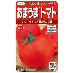大玉トマト 種 『ルネッサンス』 サカタのタネ/小袋の商品画像