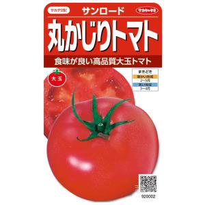 大玉トマト 種 『サンロード』 サカタのタネ/小袋