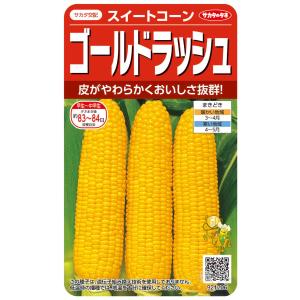 スイートコーン 種 『ゴールドラッシュ90』 サカタのタネ/200粒 : 種兵
