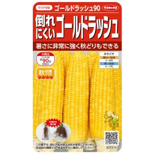 ホイップコーン 5000粒以上 ホイップコーン 5000粒以上 ホイップコーン - オガワのタネ