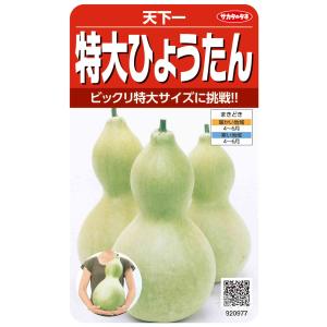 ヒョウタン 種 『天下一』 サカタのタネ/小袋の商品画像