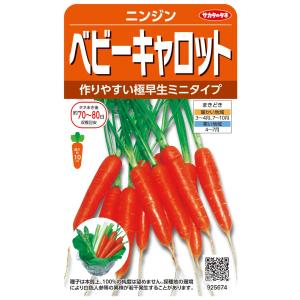 ミニニンジン 種 『 ベビーキャロット』 サカタのタネ/小袋