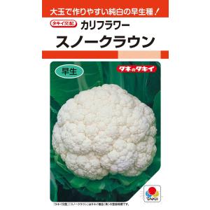 カリフラワー 種 『スノークラウン』 ASB00...の商品画像
