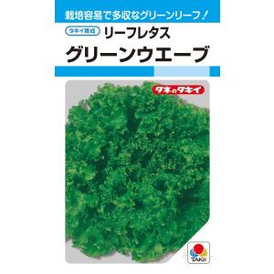 グリーンリーフレタス 種 『グリーンウエーブ』 ...の商品画像