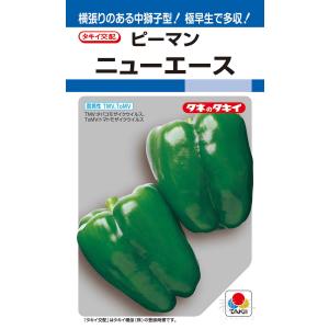 京みどりピーマン 65粒 【ピーマン種】【タキイのタネ】【野菜の種