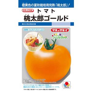大玉イエロートマト 種 『桃太郎ゴールド』 ATM092 タキイ種苗/小袋(DF)