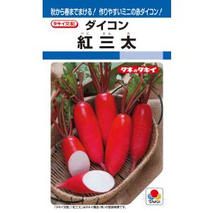 三季どりダイコン 種 『紅三太』 ADA09K ...の商品画像