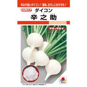 大根種子 辛之介 5ml 【タキイ種苗】【野菜種子】 : 吉谷農芸Yahoo!店