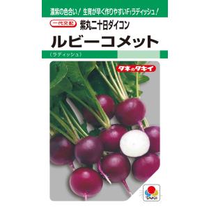 紫丸二十日ダイコン 種 『ルビーコメット』 AD...の商品画像