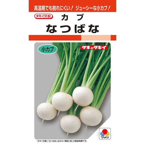 小カブ 種 『なつばな』 AKA058 タキイ種苗/1dl