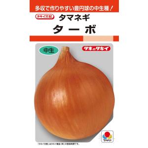 中生種タマネギ 種 『ターボ』 ATA031 タ...の商品画像