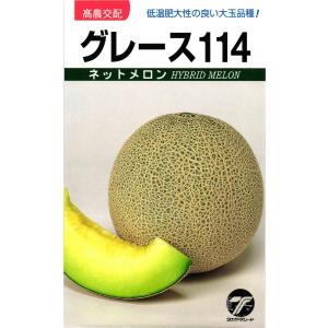 ネットメロン 種 『グレース１１４』 タカヤマシード/小袋
