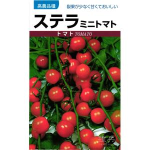 ミニトマト 種 『ステラ』 タカヤマシード/小袋の商品画像