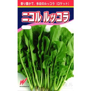 ルッコラ 種 『ニコル・ルッコラ』 渡辺農事/小袋