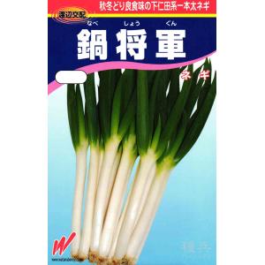 根深ネギ 種 『鍋将軍』 渡辺農事/小袋の商品画像