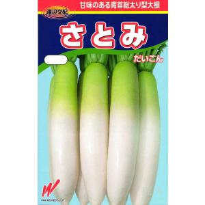 秋冬どりダイコン 種 『さとみ』 渡辺農事/小袋
