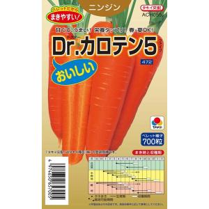 ニンジン 種<br> 『Dr.カロテン5』 ACH055 タキイ種苗/ペレットL1万粒｜tanehyo