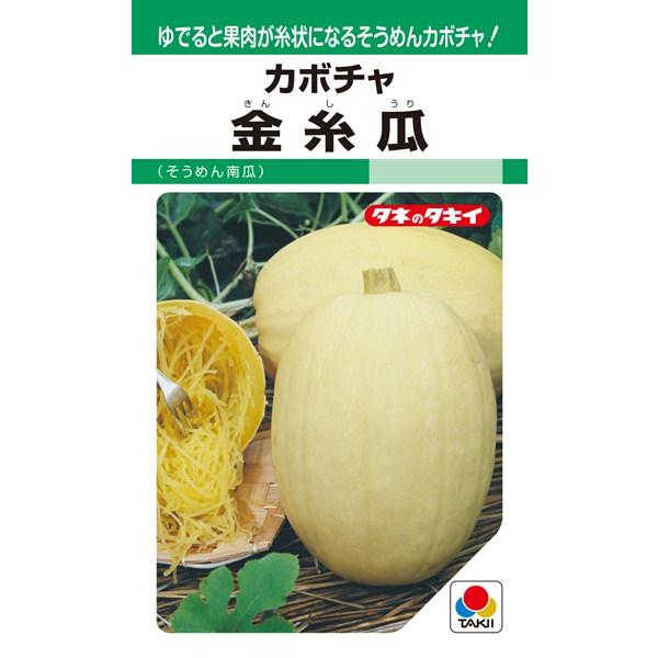 ソウメンカボチャ 種&lt;br&gt; 『金糸瓜（そうめん南瓜）』 ANK135 タキイ種苗/16粒(GF)