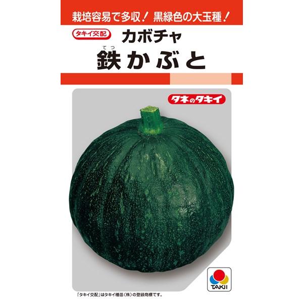 キュウリ、メロン用台木 種&lt;br&gt; 『鉄かぶと』 ANK021 タキイ種苗/100粒