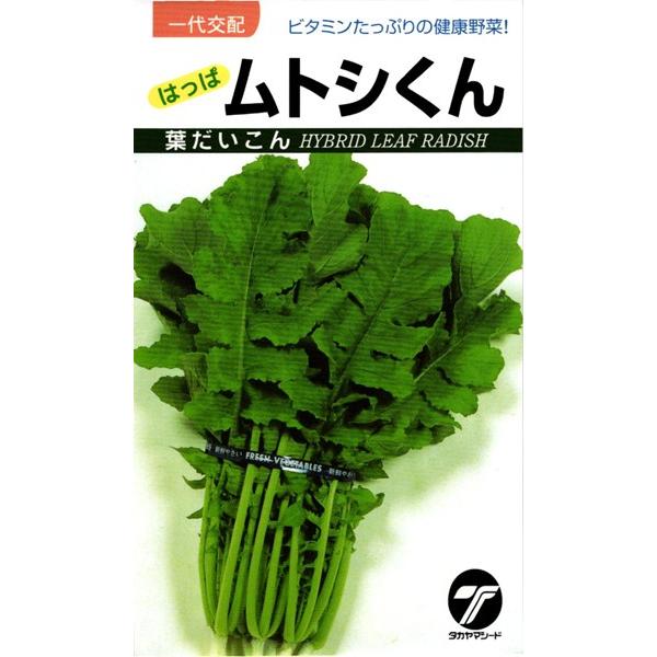 葉ダイコン 種&lt;br&gt; 『はっぱムトシくん』  タカヤマシード/1L