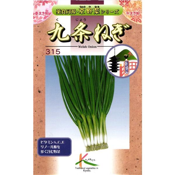 京野菜 種&lt;br&gt; 『九条ねぎ』  タカヤマシード/小袋（10ml）