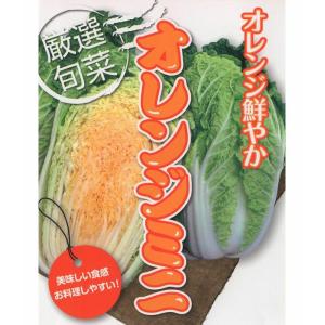 アサヒ農園 ハクサイ はくさい 白菜 オレンジミ...の商品画像