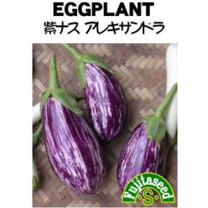 野菜の種/種子 白ナス F1ホワイトベルII 茄子 なす 0.1ml （メール便