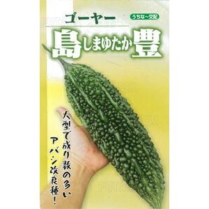 たね フタバ種苗　島豊 　小袋