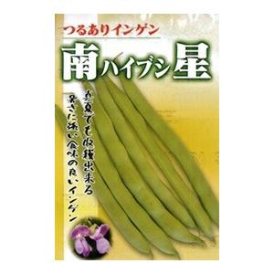 たね フタバ種苗 南星（ハイブシ）莢インゲン 1dl : 種苗・園芸  