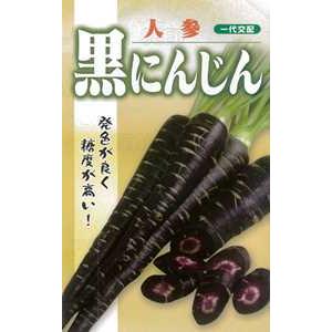 たね フタバ種苗　黒にんじん　コート 5000粒