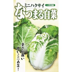 タキイ種苗 レタス ヒートガイ ペレット5000粒 : 種苗・園芸ショップ