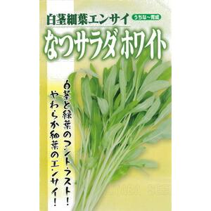 たね フタバ種苗 なつサラダ ホワイト 小袋 : 種苗・園芸ショップ 種