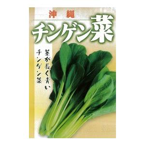 たね フタバ種苗　沖縄チンゲン菜　小袋