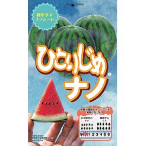 スイカ 紅しずく 8粒 タキイ種苗 DF : グリーンロフトネモト