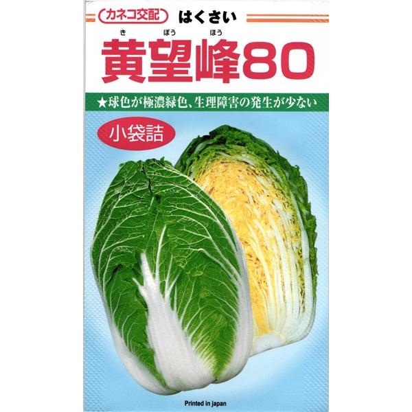 カネコ種苗 ハクサイ 白菜 黄望峰80 小袋