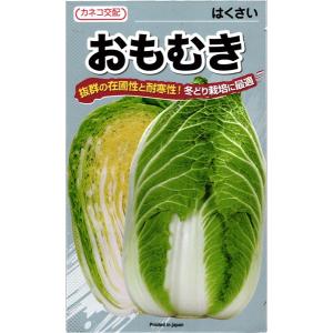 タキイ種苗 レタス ヒートガイ ペレット5000粒 : 種苗・園芸ショップ