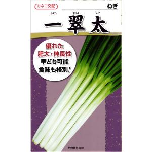 ネギ　大河の轟き　5000粒　有効期限バラバラ ネギ 大河の轟き 5000粒 有効期限バラバラ ネギ 大河の轟き 5000