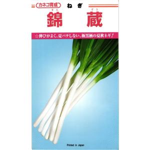 たね 武蔵野種苗園 ネギ 元蔵(もとくら) コート 5000粒 : 種苗・園芸