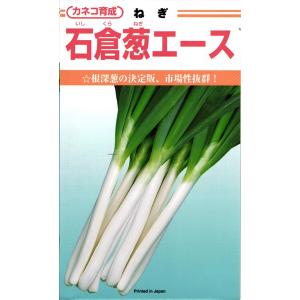 カネコ種苗 ネギ 石倉葱エース 20ml