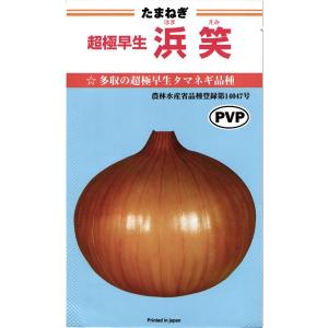 浜笑 玉ねぎ種子 2DL 極早生種 カネコ種苗【野菜種子】農林水産省登録