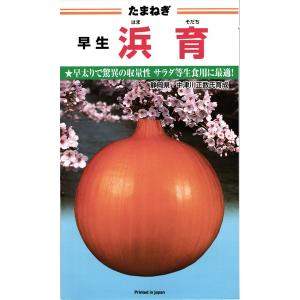 野菜の種/種子 ソニック ・タマネギ 玉葱 玉ねぎ 2dl袋入り（大袋