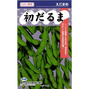 枝豆 丹波黒大粒大豆 1dl(約65粒) タキイ種苗（株） : グリーンロフト