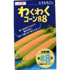 ナント種苗 スイートコーン おおもの83（早生 大型スーパースイート