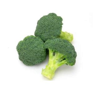 SK9-099 ブロッコリー種子 ペレット5000粒 【野菜種子】【サカタのタネ