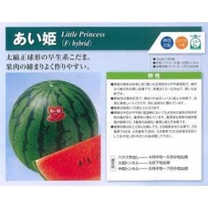 神田育種　スイカ すいか 西瓜 小玉　あい姫　200粒