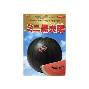 神田育種 スイカ すいか 西瓜 小玉 ミニ黒太陽 小袋 : 種苗・園芸