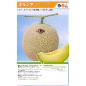 神田育種 メロン オルフェ 小袋 : 種苗・園芸ショップ 種もり - 通販