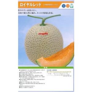 神田育種　メロン　ロイヤルレッド　小袋